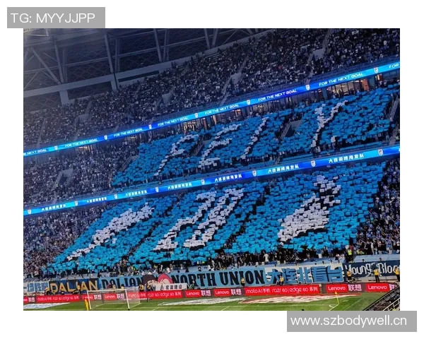 大龙足球明星最新阵容揭晓球迷期待新赛季精彩表现